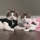 Fur Ball Society - Fur Dealers