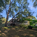 Trees by Forrest | Tree Removal Company in Plymouth, MN - Tree Service