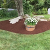 Lowe's Landscaping Services, LLC gallery