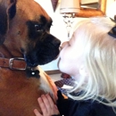 Lucky Dawg - Pet Services
