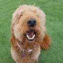 Happy Paws - Pet Boarding & Kennels