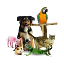 Animal Health Care Center - Veterinary Clinics & Hospitals