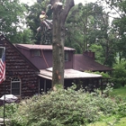 Sidelines Tree Service