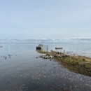Oysterville Sea Farms