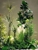 ECOTREE AUSTRALIA - Decorations - Suppliers &/or Contractors