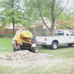 Whole Tree Care by Trapper's Tree Service (Columbus, Ohio) - Hilliard, OH