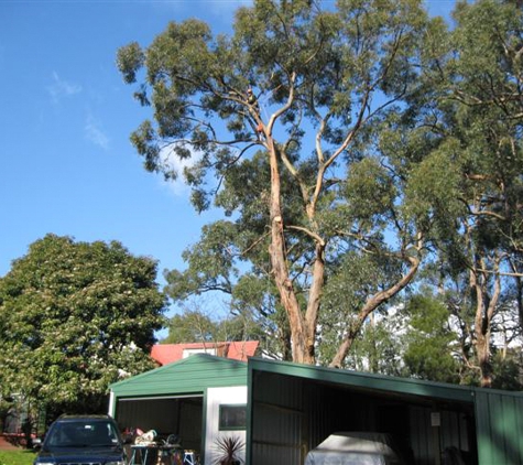 Drouin Tree Services - Drouin, VIC