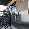 Barecat Cafe gallery