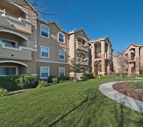 Sycamore Terrace Apartments - Sacramento, CA. Professional landscaping