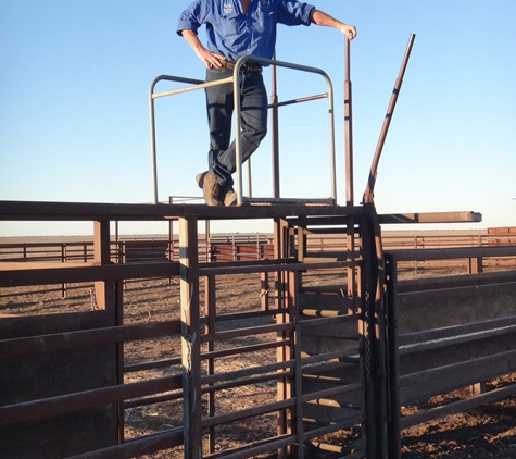 NorthWest Vets - Coonamble, NSW