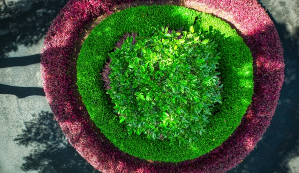 Evolve Gardens & Landscaping - Ballina, NSW