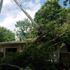 Parker Tree & Excavation Services