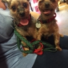 Gentle Care Animal Hospital gallery