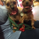 Gentle Care Animal Hospital - Veterinarians