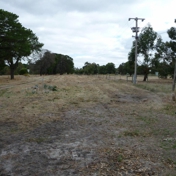 Gallery Image Number 4