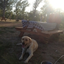 Texas Wine Collective - Wineries