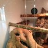 Reptile Finders gallery