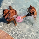 Meadowlake Pet Resort