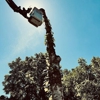 B&E Tree Service gallery