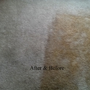 Personal Touch Carpet Cleaning - Carpet & Rug Cleaning Equipment & Supplies