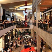 Gallery Image Number 7