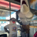 Baywatch Dolphin Tours