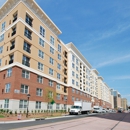 Belmont at Freemason Apartments - Apartments