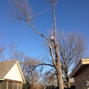 Bartsville Tree Service LLC - Tree Service