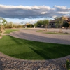 Blossom & Oak Landscaping gallery