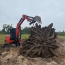 Orange Advancements - Tree Service