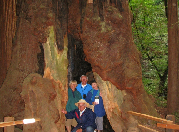 Muir Woods Park Tours - San Francisco, CA