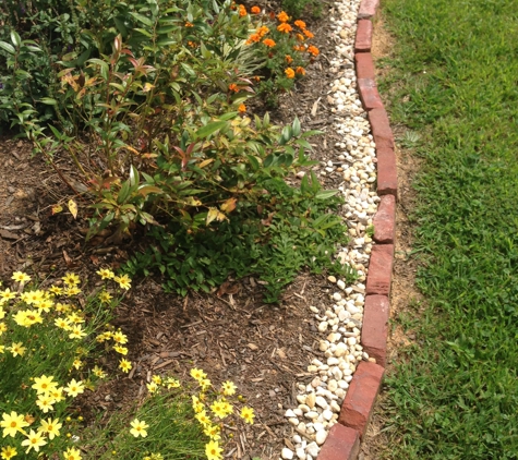 RootWise Landscape Solutions, LLC - Candler, NC