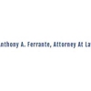 Wislawyer gallery