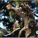 One Tripp Tree Service - Arborists