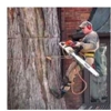 Handy Feller Tree Service gallery