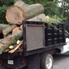 Top Notch Tree Services Inc. gallery