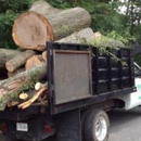 Top Notch Tree Services Inc. - Stump Removal & Grinding