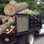 Top Notch Tree Services Inc.