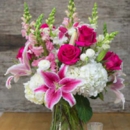 Weymouth Flowers - Wholesale Florists