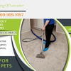 Carpet Cleaning Of Lancaster gallery