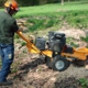 Anywhere Stump Grinding