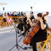 OurStrings4You gallery
