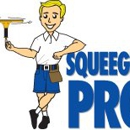 Squeegee Pro - Window Cleaning