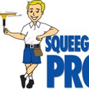 Squeegee Pro - Gutters & Downspouts Cleaning