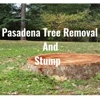 Pasadena Tree Removal and Stump gallery