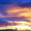 Newswest 9 gallery
