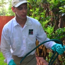 Bulwark Exterminating - Pest Control Services