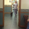 Oak Island Animal Hospital gallery