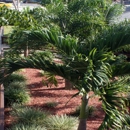 The Boca House - Drug Abuse & Addiction Centers