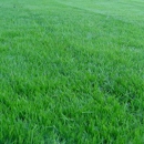 More Green For Less Green Lawn Care Inc. - Lawn Maintenance